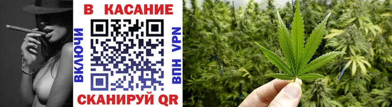 ГАШИШ Гороховец