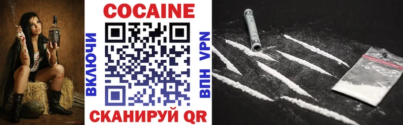 Купить закладки  Гороховец  COCAIN 99% 