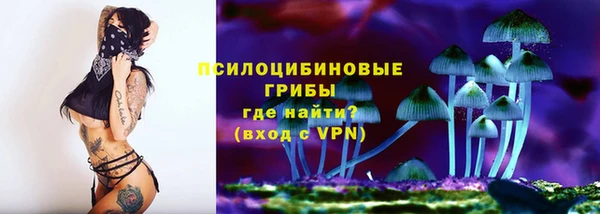 марки lsd Бородино