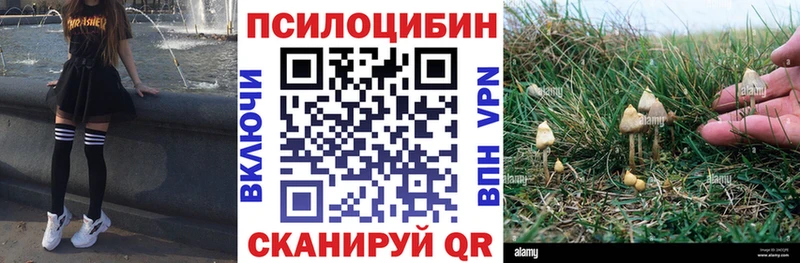 Псилоцибиновые грибы MAGIC MUSHROOMS  Купить где  Гороховец 